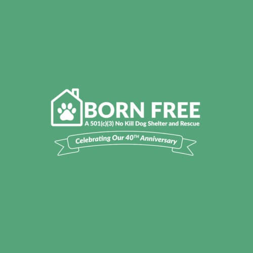 Born Free Pet Shelter Miami